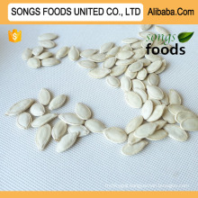 Pumpkin Seeds, Wholesale Shineskin Pumpkin Seeds